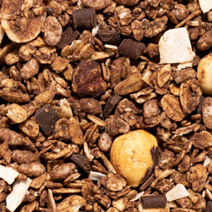 granola al cioccolato e frutta secca zoommata